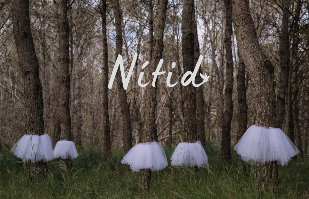 NÍTID - FESTIVAL ESCOLA DE DANSA CASAL ASSUMPTA TRENS